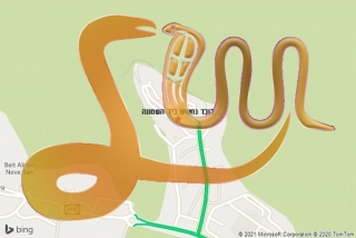לכידת נחש ביד השמונה - לוכד נחשים ביד השמונה