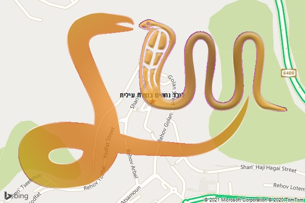 לוכד נחשים בנצרת עילית