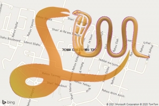 לכידת נחש במרכז אשכול - לוכד נחשים במרכז אשכול