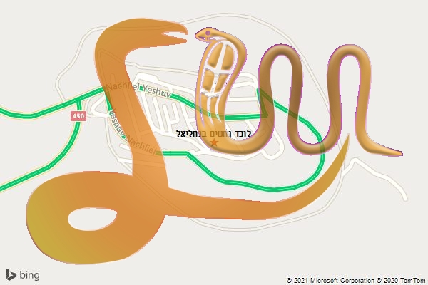 לוכד נחשים בנחליאל