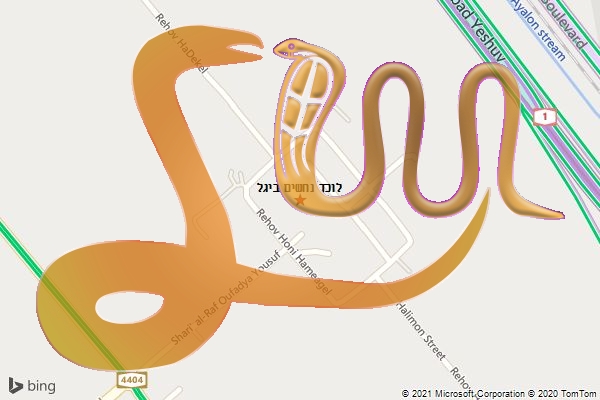 לוכד נחשים ביגל