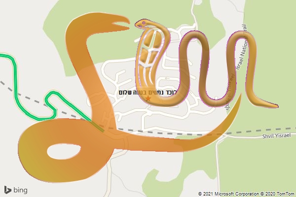 לוכד נחשים בנווה שלום