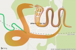 לכידת נחש בנווה שלום - לוכד נחשים בנווה שלום