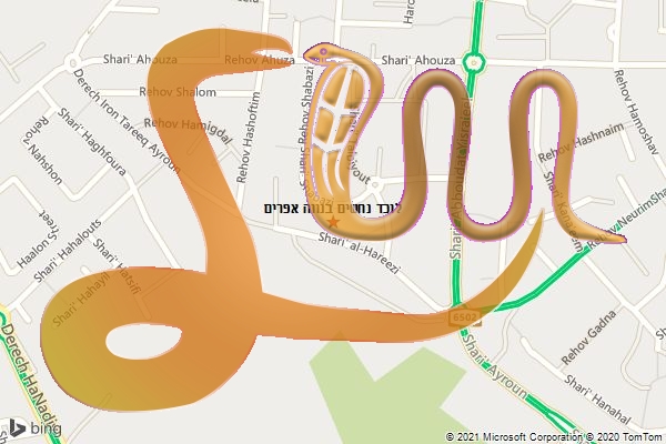 לוכד נחשים בנווה אפרים