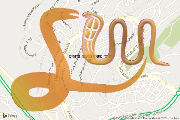 לוכד נחשים במעלה אדומים