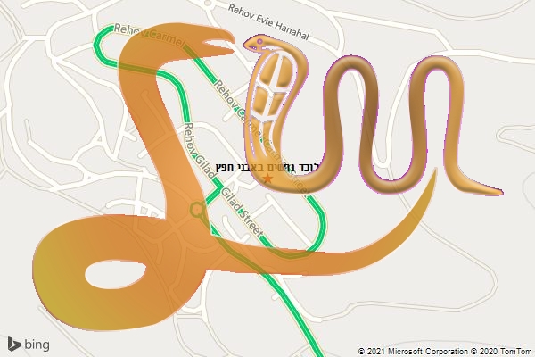 לוכד נחשים באבני חפץ