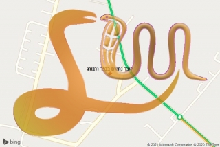 לכידת נחש בכפר ורבורג - לוכד נחשים בכפר ורבורג