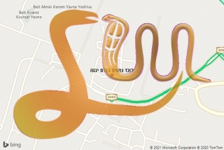 לכידת נחש בכרם יבנה - לוכד נחשים בכרם יבנה