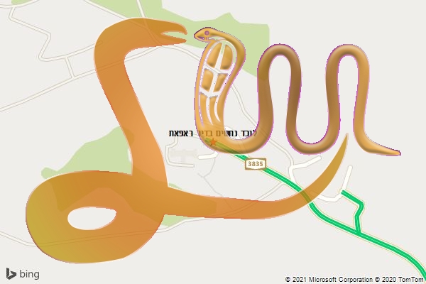 לוכד נחשים בדיר ראפאת
