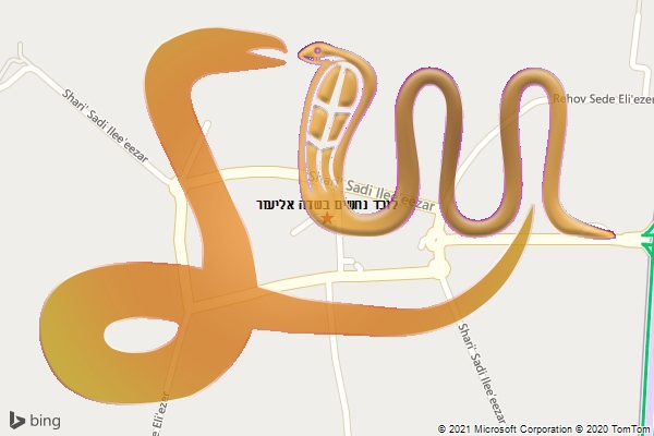 לוכד נחשים בשדה אליעזר