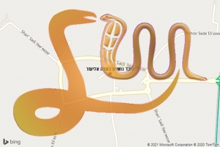 לכידת נחש בשדה אליעזר - לוכד נחשים בשדה אליעזר