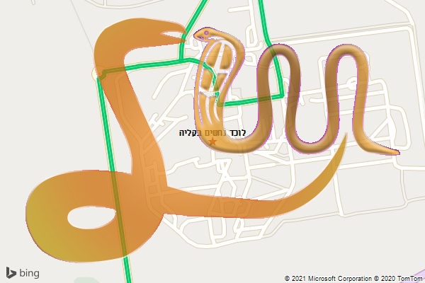 לוכד נחשים בקליה