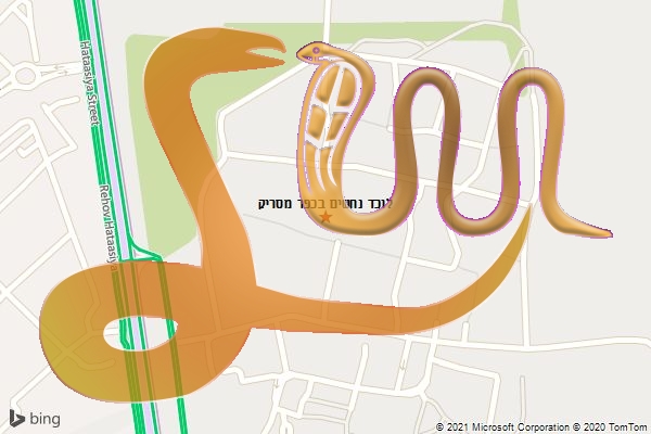 לוכד נחשים בכפר מסריק