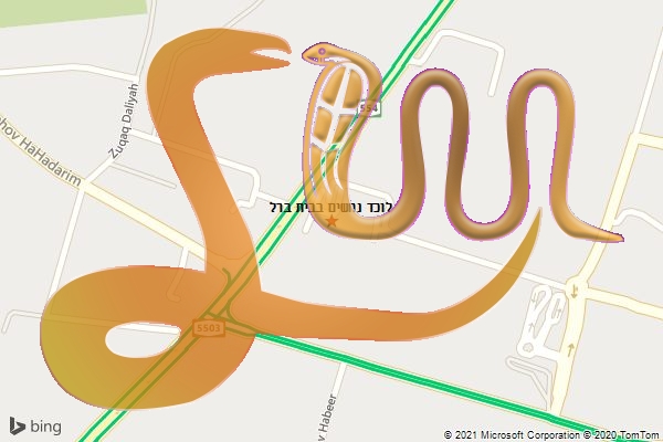 לוכד נחשים בבית ברל