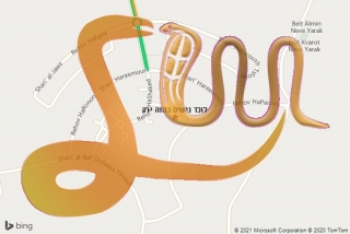 לכידת נחש בנווה ירק - לוכד נחשים בנווה ירק