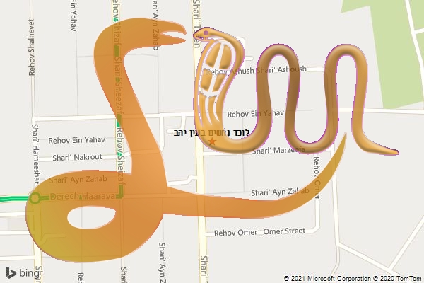 לוכד נחשים בעין יהב