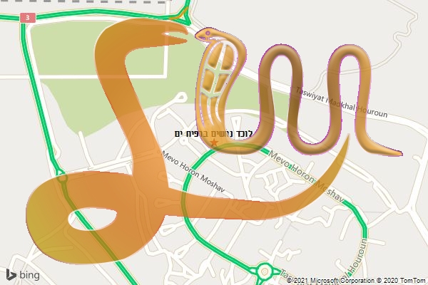 לוכד נחשים ברפיח ים