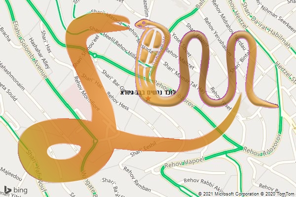 לוכד נחשים בבר גיורא