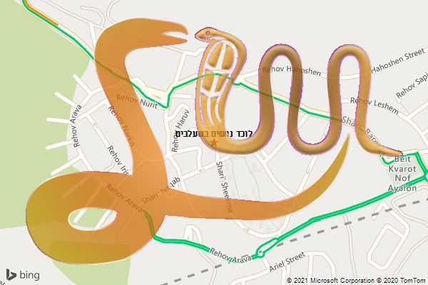 לוכד נחשים בשעלבים