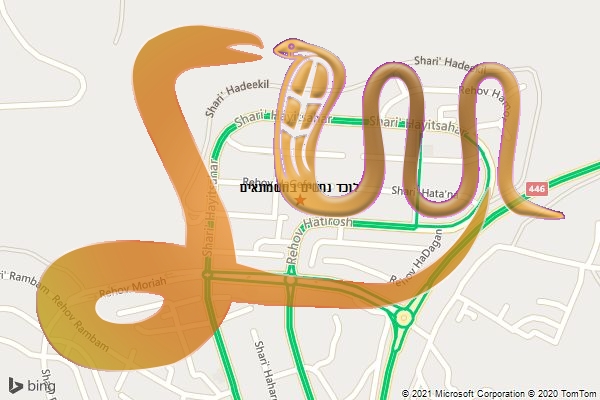 לוכד נחשים בחשמונאים