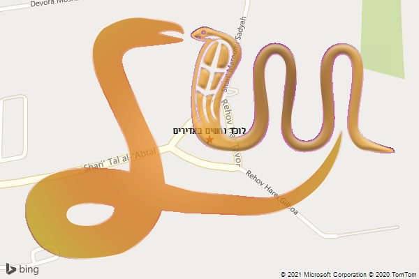 לוכד נחשים באדירים
