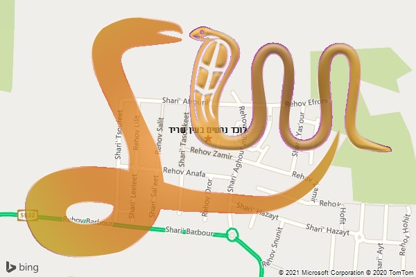 לוכד נחשים בעין שריד
