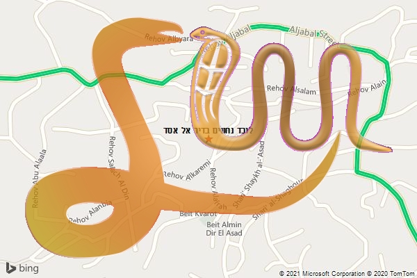 לוכד נחשים בדיר אל אסד