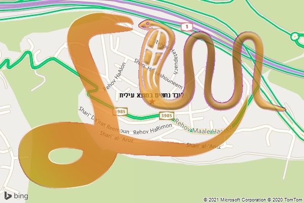 לוכד נחשים במוצא עילית