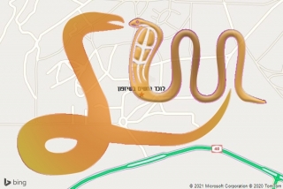לכידת נחש בשיזפון - לוכד נחשים בשיזפון