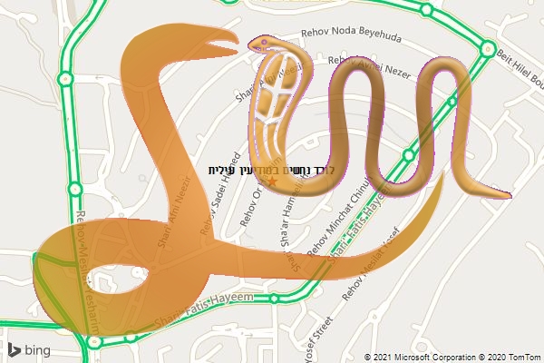 לוכד נחשים במודיעין עילית