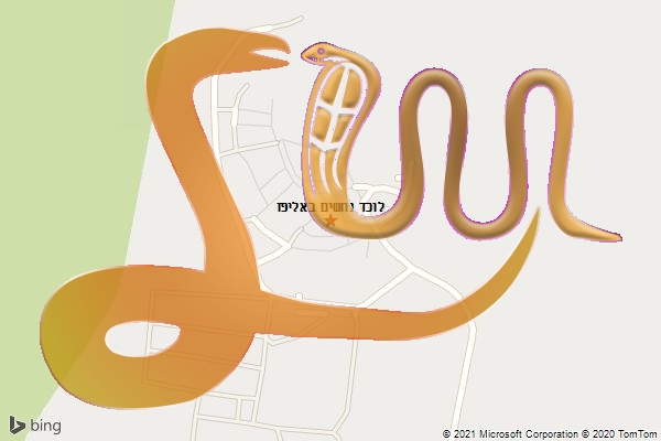 לוכד נחשים באליפז