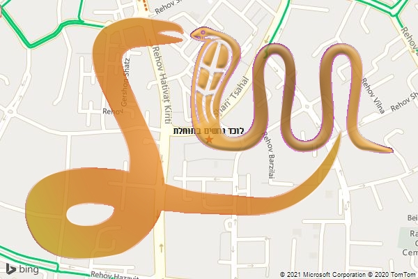 לוכד נחשים בתוחלת