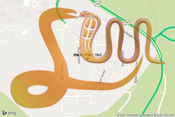 לוכד נחשים ברקפת