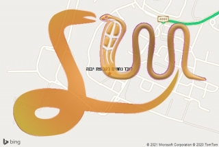 לכידת נחש בקבוצת יבנה - לוכד נחשים בקבוצת יבנה