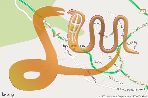 לוכד נחשים בגילון