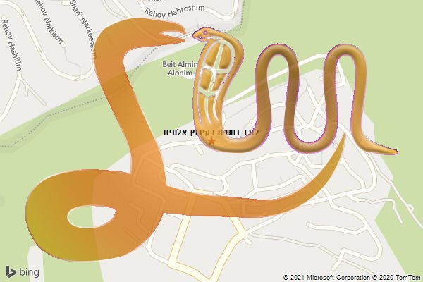לוכד נחשים בקיבוץ אלונים