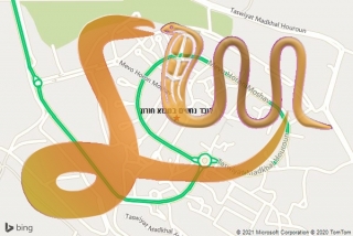 לכידת נחש במבוא חורון - לוכד נחשים במבוא חורון