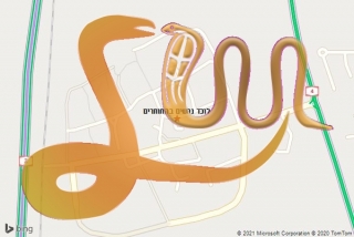  בהחותרים - לוכד נחשים בהחותרים