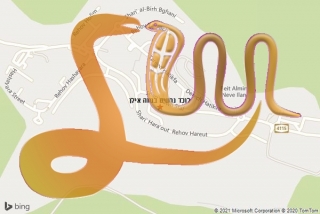 לכידת נחש בנווה אילן - לוכד נחשים בנווה אילן
