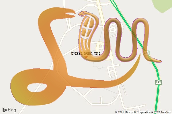 לוכד נחשים בצאלים