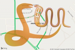 לכידת נחש במבועים - לוכד נחשים במבועים