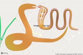 לכידת נחש בגבעת נילי - לוכד נחשים בגבעת נילי