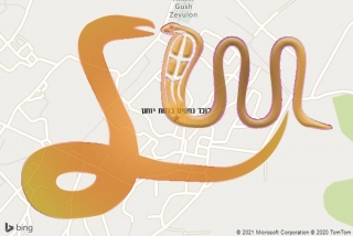 לכידת נחש ברמת יוחנן - לוכד נחשים ברמת יוחנן