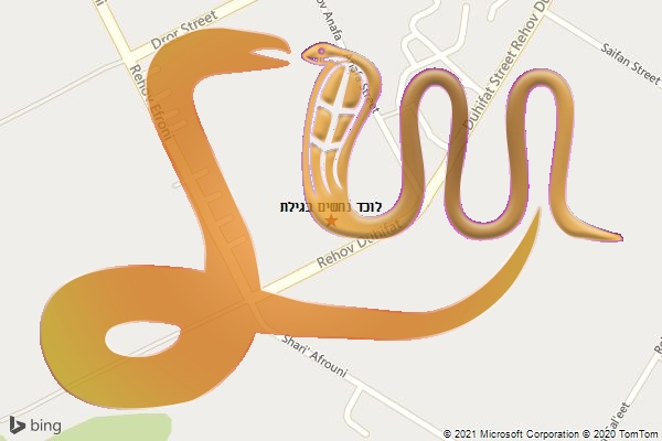 לוכד נחשים בגילת