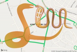 לכידת נחש בכפר חסידים - לוכד נחשים בכפר חסידים