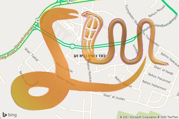 לוכד נחשים בבית דגן