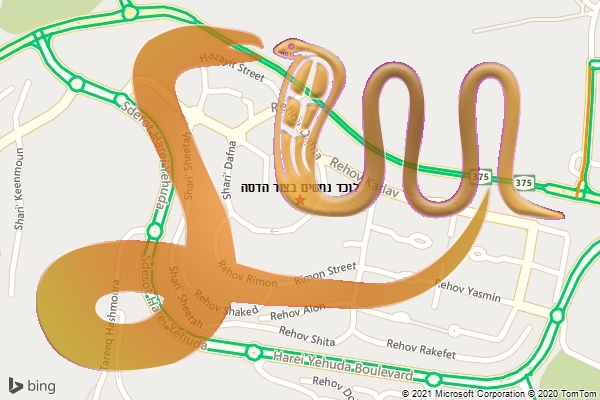 לוכד נחשים בצור הדסה