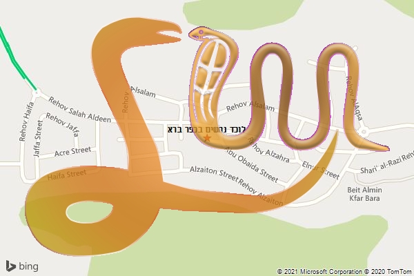 לוכד נחשים בכפר ברא