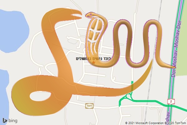לוכד נחשים בנחשולים
