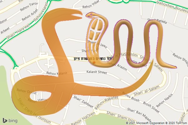 לוכד נחשים במבשרת ציון